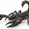 Modèle 3D de robot scorpion mécanique (science-fiction)